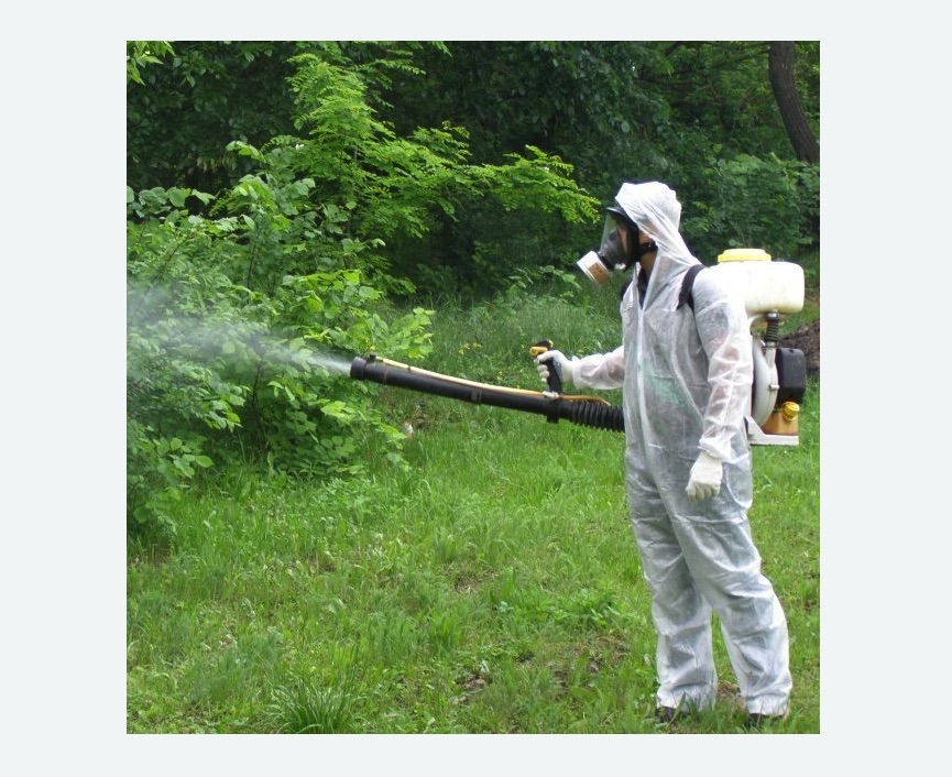 обработка территории от клещей в Суоярви