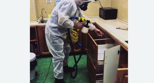 Дезинсекция квартиры. Суоярви