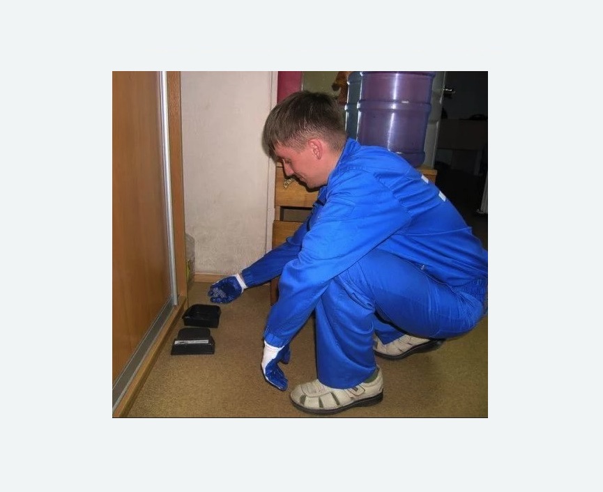 Дератизация крыс в Суоярви