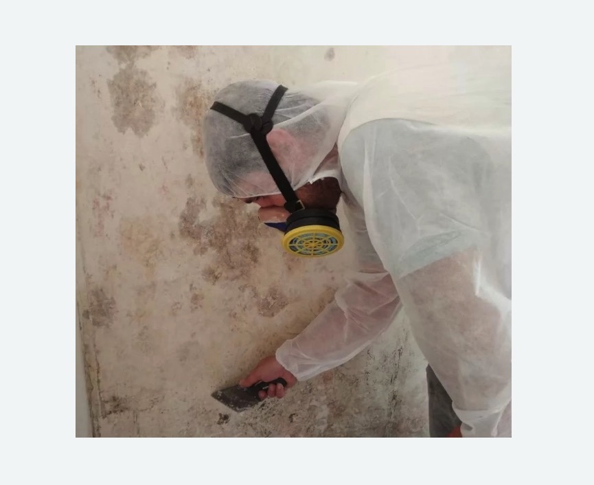 Обработка стен от плесени в Суоярви