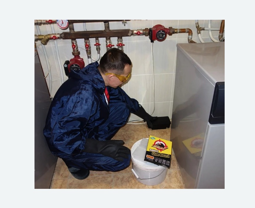 Уничтожение крыс в Суоярви