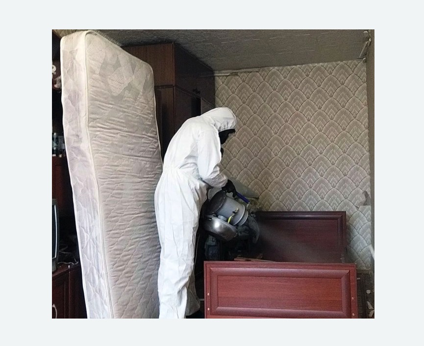 дезинфекция от клопов дезинфекция от клопов в Суоярви