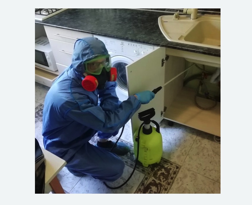 обработка от муравьев в квартире в Суоярви