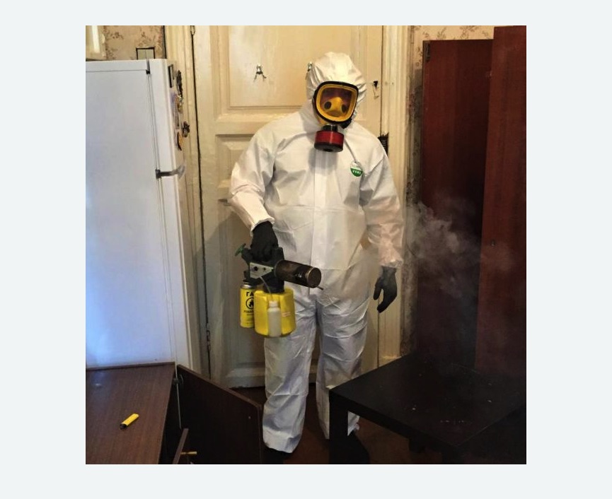 уничтожение муравьев в квартире в Суоярви